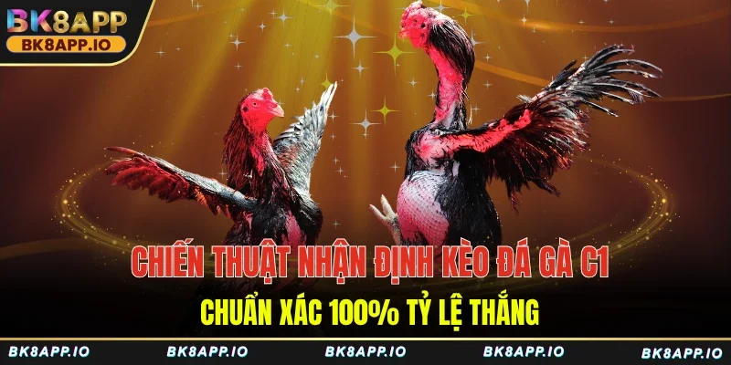 Chiến thuật nhận định kèo đá gà C1 chuẩn xác 100% tỷ lệ thắng