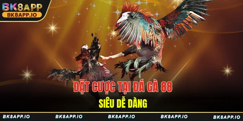 Đặt cược tại đá gà 88 siêu dễ dàng