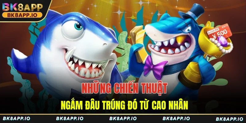 Những chiến thuật ngắm đâu trúng đó từ cao nhân