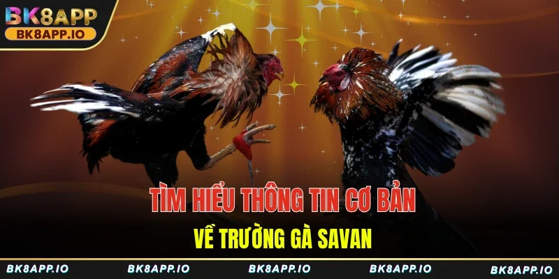 Tìm hiểu thông tin cơ bản về trường gà Savan